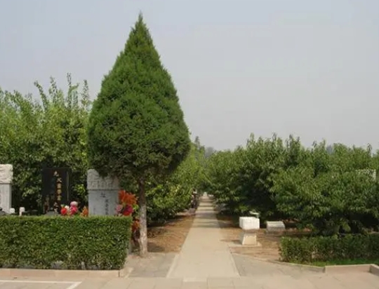 福田公墓怎么样